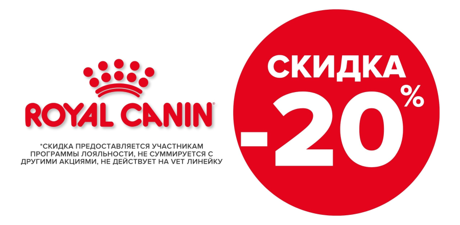 new Роял -20